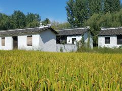 -溱湖国家湿地公园