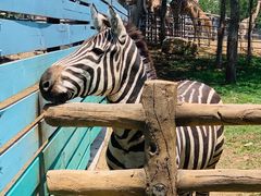 -大连森林动物园