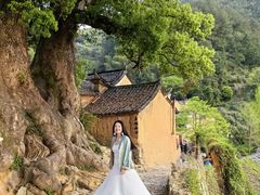 -杨家堂村