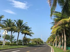 -志龙皇冠吃货椰子铺