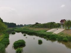 -东郊湿地公园