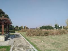 -九里河湿地公园