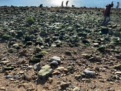 -元初食品(幸福e家小区店)