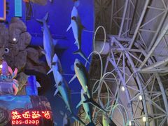 -烟台海昌鲸鲨海洋公园