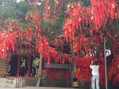 -国恩寺