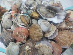 -日照大牌檔•小船海鲜(万平口店)