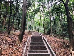 -龙头山森林公园·停车场