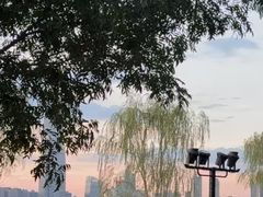 -武昌江滩