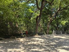 -吴山景区