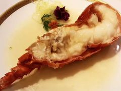 -唐阁(香港朗廷酒店)