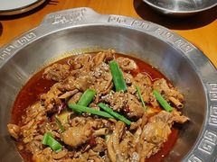 -成老灶火锅鸡(平山店)