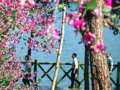 -广州市流溪河国家森林公园