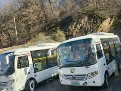 -栾川竹海野生动物园