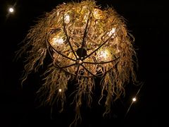 -胡桃里音乐酒馆(白云五号T5 MALL店)