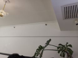 -babiline芭比莱恩半永久纹眉纹唇发际线