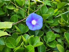 -秦韵轩·西安小馆(贻成福地广场店)