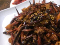 -西塔隆太白烤牛肉馆(图们路店)