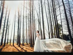 -米兰尊荣婚纱摄影·婚纱照会馆