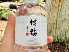 -灵隐飞来峰景区