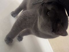 -宠颐生·恒爱宠物医院(静海店)