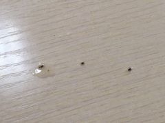 -姚记六鲜面(大方巷店)