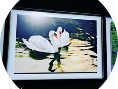 -罗红摄影艺术馆