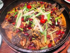 -老板恋上鱼(荣盛广场店)