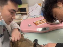 -宠福鑫康馨动物医院·骨科·眼科