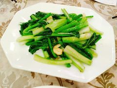 高山迟菜心-新兴家喻酒家·羊城名宴(昌岗店)