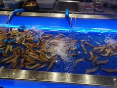 水产区-SEA西雅图海鲜自助餐厅(正义店)