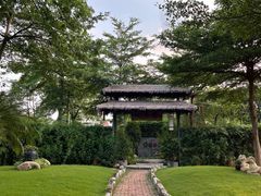 -陶缘一号·四季缘·老字号顺德菜·户外婚礼家宴(西滘店)