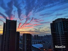 -皇冠幸福里动物奶油生日蛋糕(万达店)