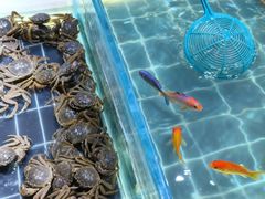 -聚盛源蒸汽海鲜火锅烤肉自助(巨川金海岸购物广场店)