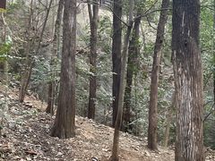 -云龙山