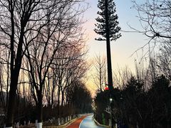 -大兴滨河森林公园