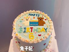 ins手绘蛋糕-兔子妃私人定制蛋糕(城南花苑南区店)