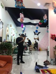 -可酷艺剪专业儿童美发沙龙(长风国贸第六馆店)