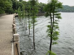 -天目湖山水园