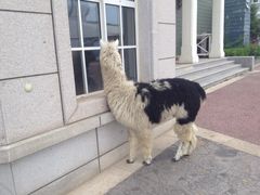 iphone_upload_pic-悦港(悦港酒店)