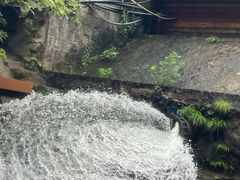 -将军关探险漂流