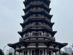 -洋湖国家湿地公园