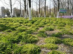 -白塘生态植物园