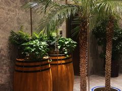 -老三羊汤【北兴隆街店】