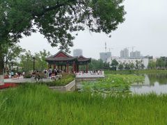 -西海子公园