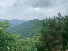 -牛背梁国家森林公园