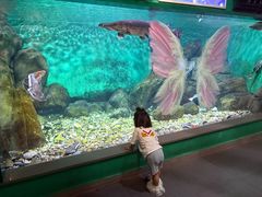 -常州海昌海洋探索馆