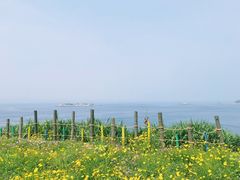 -东极岛景区