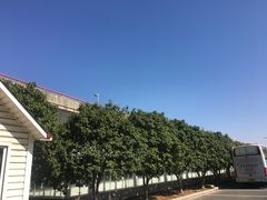 -苏州园区站