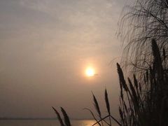 -漕湖湿地公园