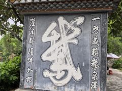-靖西鹅泉风景区